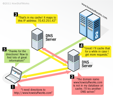 5dns.gif